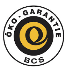Logo BCS